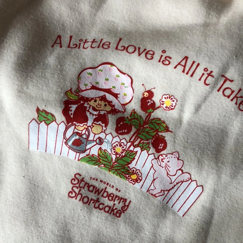 Strawberry Shortcake PET Hoodie SIZE L